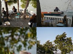 -东钱湖旅游度假区