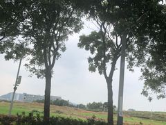 -光明小镇欢乐田园