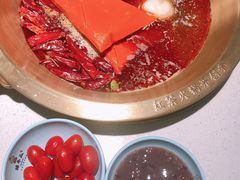 红茶锅底-矮冬瓜红茶火锅