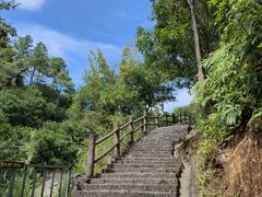 -广州白江湖森林公园