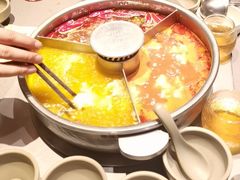 -巴奴毛肚火锅(二七万达店)