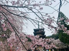 -醍醐寺