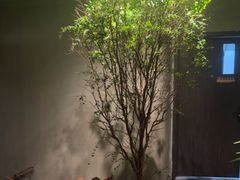 -森SPA·泰式按摩·精油Massage(宝安中心店)