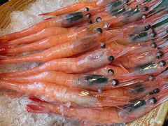 -牛New寿喜烧(新六百店)
