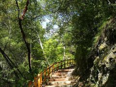 -叠溪松坪沟景区