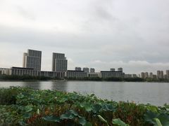 -尚贤河湿地