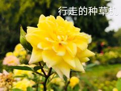 -国家植物园