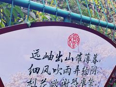 -树山生态村