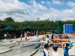 -季高兔窝窝亲子园(上海薰衣草公园店)