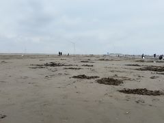 -启东黄金海滩景区