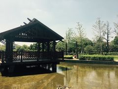 -浦鸿会游泳健身中心·Ambassy Club PD(金桥碧云国际社区店)