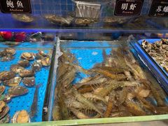 -加餐海鲜自助(宝龙一城店)
