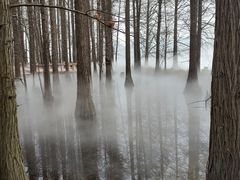 -东湖落雁景区