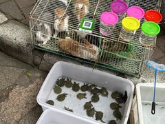 -黄埔古港