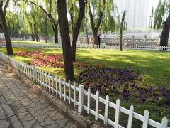 -迎泽公园
