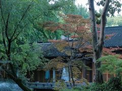 -杭州植物园