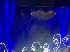 -烟台海昌鲸鲨海洋公园