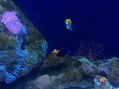 -成都浩海立方海洋公园