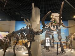 -国家自然博物馆