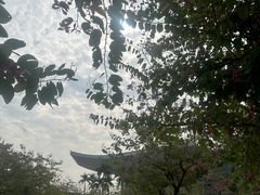 -广东科学中心