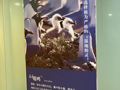-天津自然博物馆