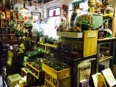 -懒鱼时光馆(沙坪坝店)