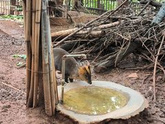 -昆明动物园