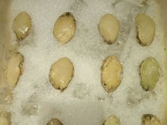 -马哥孛罗咖啡厅·Cafe Marco (厦门马哥孛罗东方大酒店)