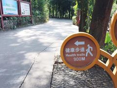 -滴水岩森林公园