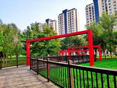 景点-固安志愿公园