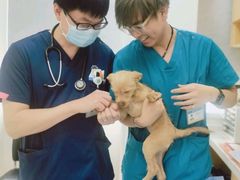 -美联众合动物医院·24h京西诊疗中心