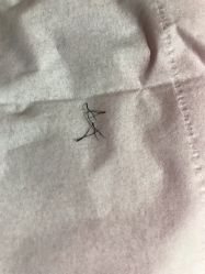 -莎拉美学·美甲美睫