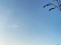 -迪士尼小镇