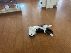 -京鸭棠中餐厅(唐人店)