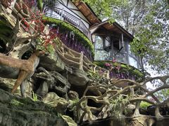 -巴倒烫陆派火锅山庄(南山总店)