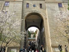 -武汉大学-樱园