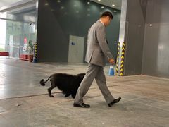 -东浩兰生上海世博展览馆