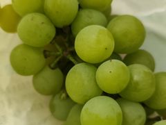 -马陆小张葡萄园农家乐