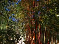 -竹海听涛生态山庄