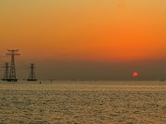 -宝安西湾红树林湿地公园