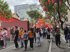 -越秀西湖花市(广州城市广场花卉店)