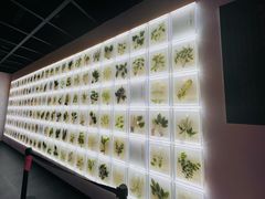 -广东中医药博物馆
