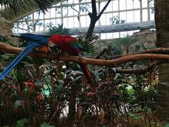 -杭州开元森泊度假乐园