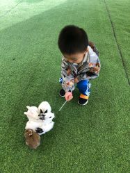 -萌宠亲子动物乐园(槐房万达店)