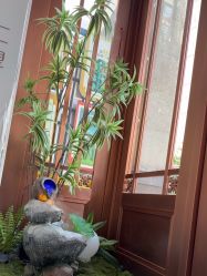 -禾壹净·素颜美问题肌肤修护中心