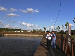 upload_pic-明珠湖天鹅苑·农家菜馆