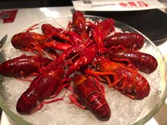 经典冰镇龙虾-红盔甲·小龙虾(天钥桥店)