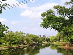 -贡湖湾湿地公园