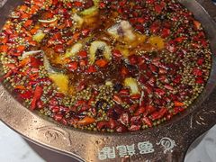 -雲蜀龙阁·金牌水煮鱼(方庄店)