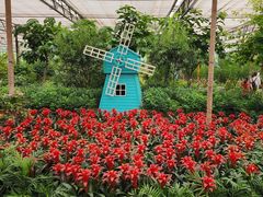 -南宫五洲植物乐园